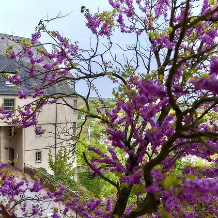 Ev.familienferien-und Bildungsstaette Ebernburg 3* Bad Münster am Stein-Ebernburg