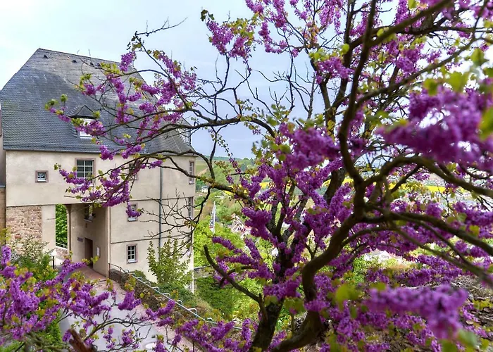 Ev.familienferien-und Bildungsstaette Ebernburg 3* Bad Münster am Stein-Ebernburg